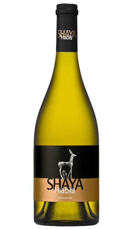 Shaya Bodegas y Viñedos