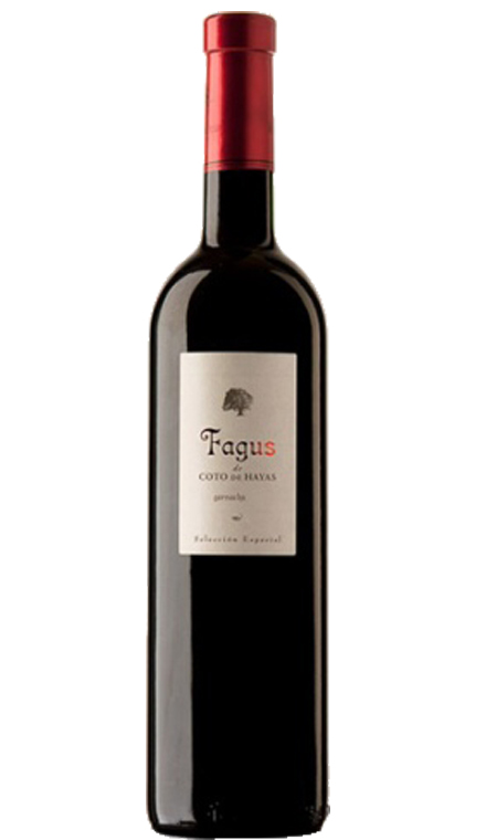 Bodegas Aragonesas