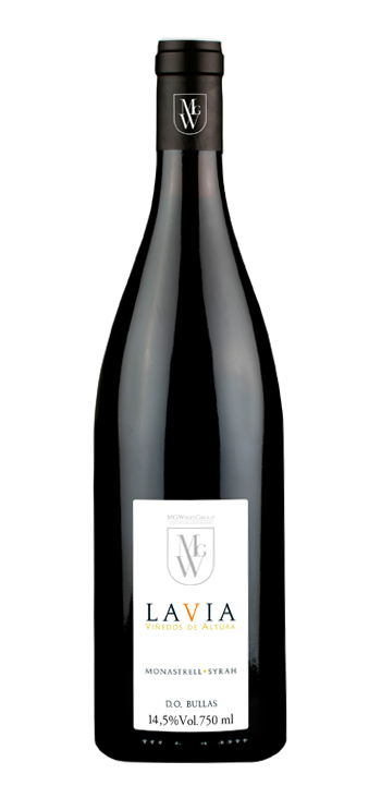 MG Wines Group
