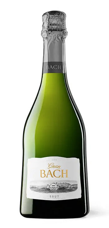 Bodega Bach