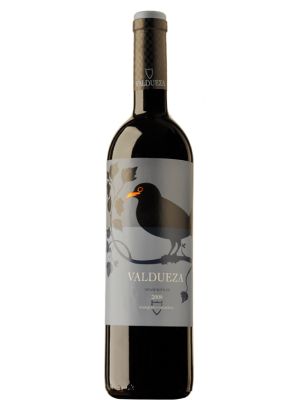 Vino Tinto Valdueza
