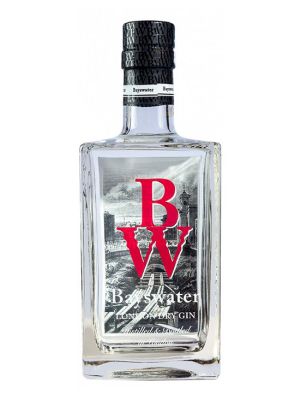 Ginebra Bayswater London Dry Gin