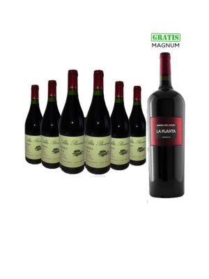 6 Botellas Alta Pavina Pinot Noir Citius + Mágnum la Planta de Regalo