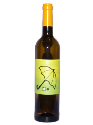 Vino Blanco Viña Ruda Casual