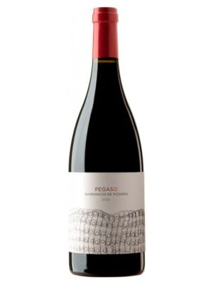 Vino Tinto Crianza Pegaso Barrancos de Pizarra