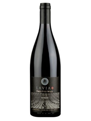 Vino Tinto Lavia Finca Paso Malo