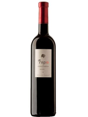 Vino Tinto Fagus Coto de Hayas Magnum