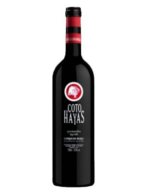 Vino Tinto Coto de Hayas Joven Magnum