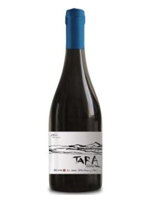 Vino Tinto Tara Pinot Noir