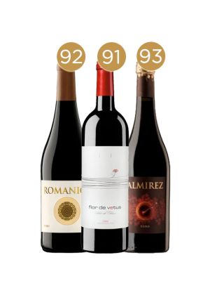 Pack Guía Peñín Mejores Vinos D.O. Toro