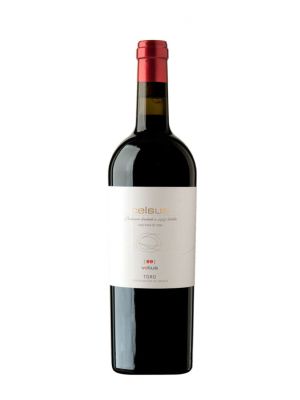 Vino Tinto Celsus