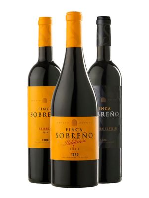 Pack Vinos Tintos Finca Sobreño
