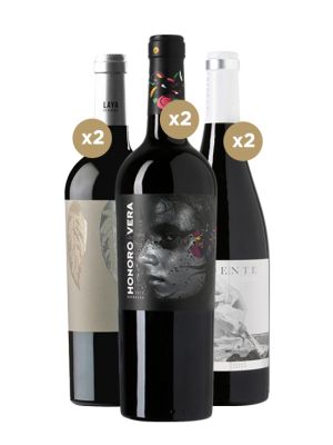 Pack Peñin Mejores Vinos Calidad Precio