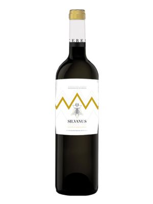 Vino Tinto Silvaus Crianza Magnum