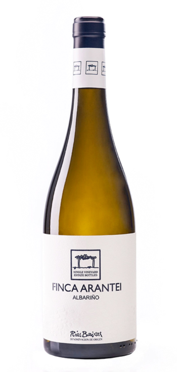 Bodega Vintae Vinos