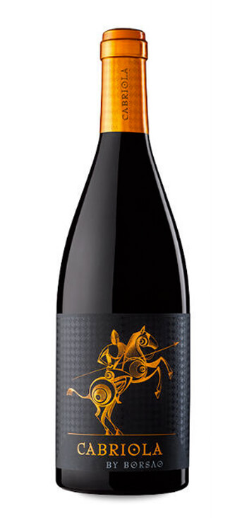 Bodegas Borsao