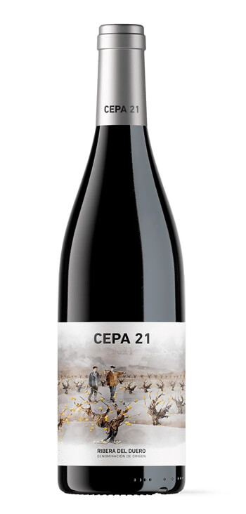 Bodega Cepa 21