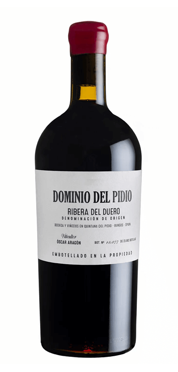 Dominio del Pidio