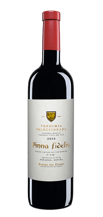 Bodega Pinna Fidelis