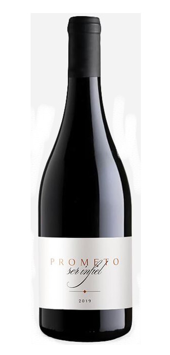 Bellori Vinos