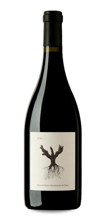 Bodega Dominio de Pingus