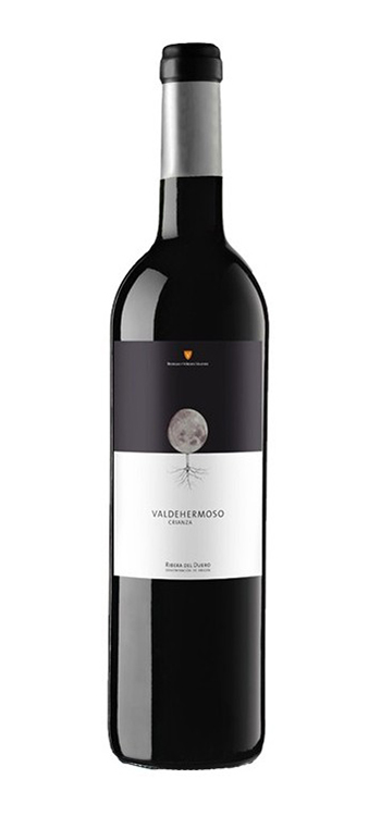 Bodegas y Viñedos Valderiz