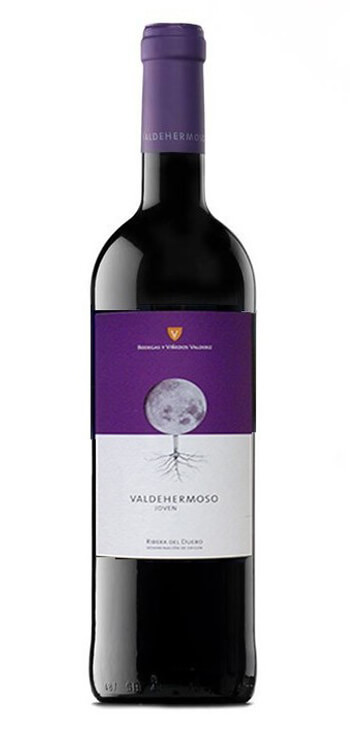 Bodegas y Viñedos Valderiz
