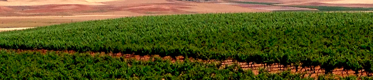 Vitivinicola de Nava del Rey